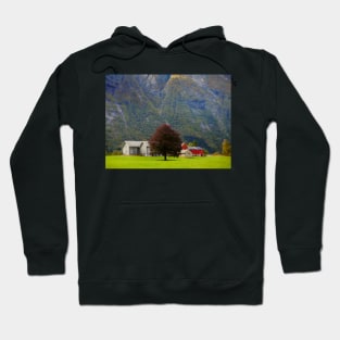 Norwegian Farm Hoodie